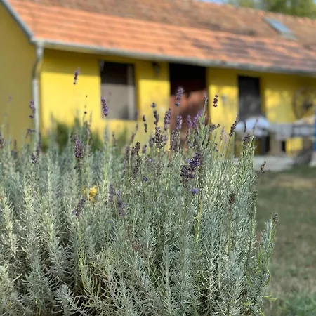 Ungarnferien Holiday home Szentgyorgyvar